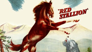 The Red Stallion