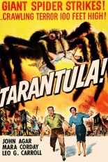 Tarantula