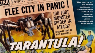 Tarantula