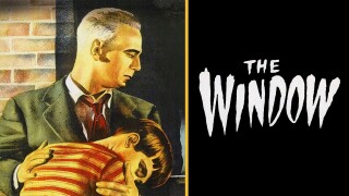 The Window