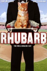 Rhubarb