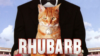 Rhubarb