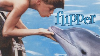 Flipper