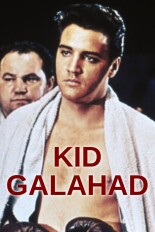 Kid Galahad