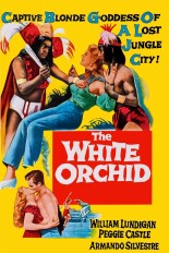 The White Orchid