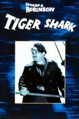 Tiger Shark