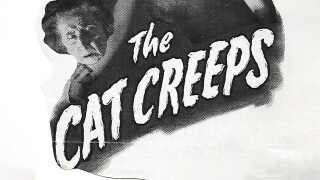 The Cat Creeps