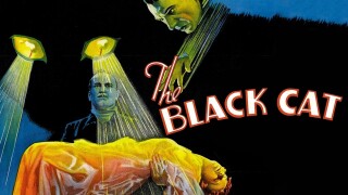 The Black Cat