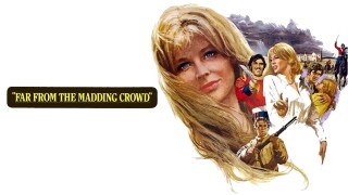 Far From the Madding Crowd