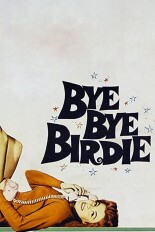 Bye Bye Birdie