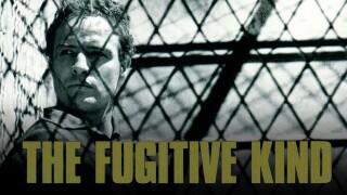 The Fugitive Kind