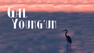 Gal Young'Un