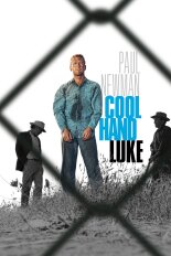 Cool Hand Luke