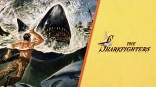 The Sharkfighters