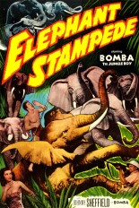 Elephant Stampede