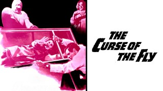 The Curse of the Fly