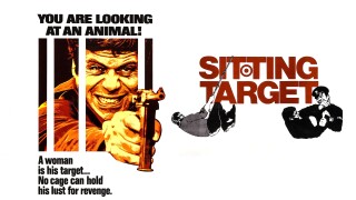 Sitting Target