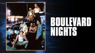 Boulevard Nights