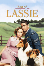 Son of Lassie