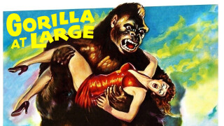 Gorilla at Large