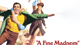 A Fine Madness