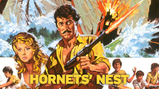 Hornet's Nest