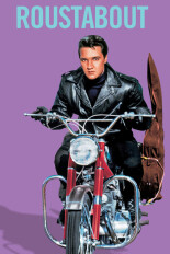 Roustabout