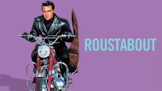 Roustabout