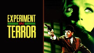Experiment in Terror