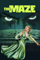 The Maze