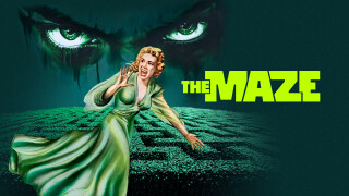 The Maze
