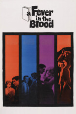 A Fever in the Blood