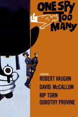 One Spy Too Many