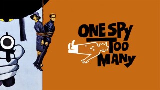 One Spy Too Many