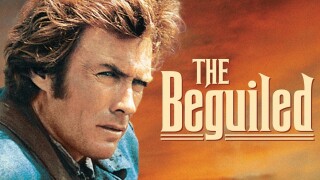 The Beguiled