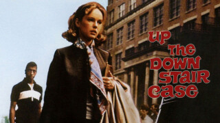 Up the Down Staircase