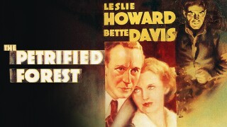 The Petrified Forest