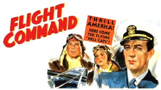 Flight Command