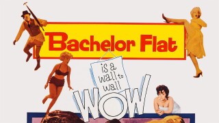 Bachelor Flat