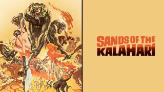 Sands of the Kalahari