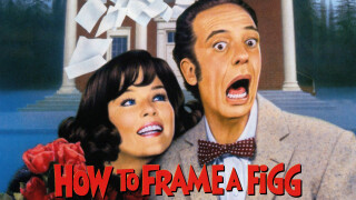 How to Frame a Figg