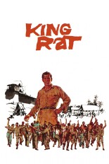 King Rat