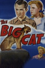 The Big Cat