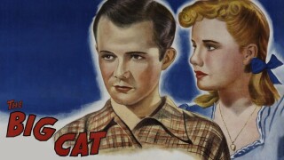 The Big Cat