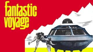 Fantastic Voyage