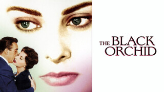 The Black Orchid