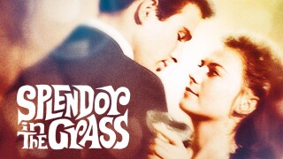 Splendor in the Grass