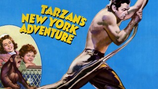 Tarzan's New York Adventure