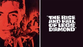 The Rise and Fall of Legs Diamond