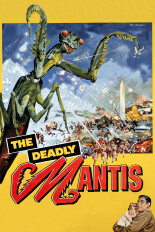 The Deadly Mantis